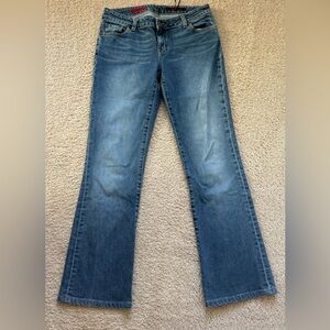 AG Adriano Goldschmied Jeans Womens 29 Blue The Gemini Bootcut Made in USA